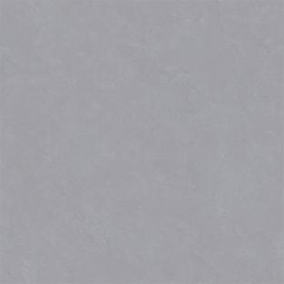 新瑞景陶瓷-RZ88706RZ88706