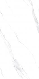 RD18101L_03