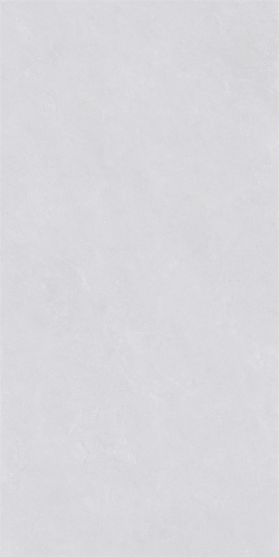 RCF12133 