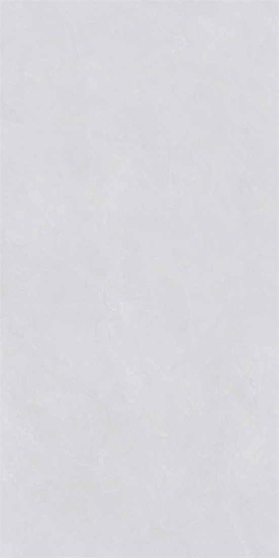 RCF12133 