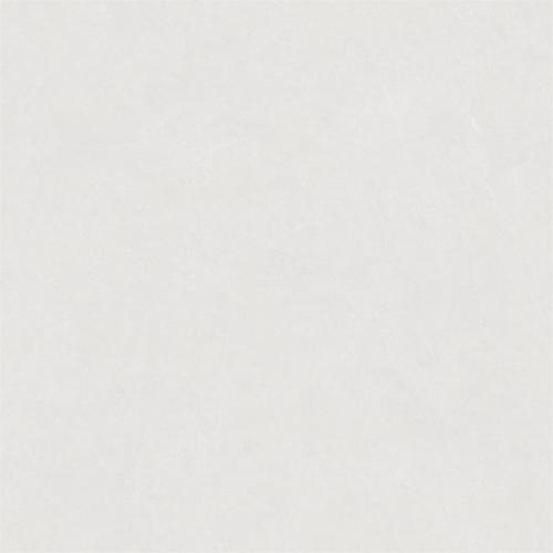 RL88256-2