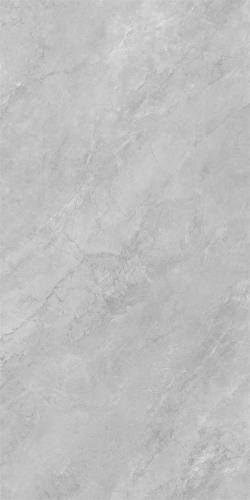 RF15606-2
