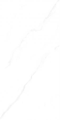 RG13101-2