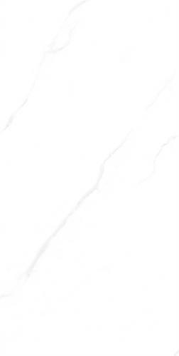 RG13101-4