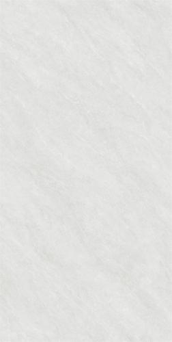 RG13105-4