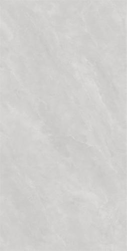 RG13106-4