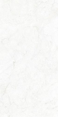 RD15062-2