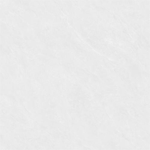 RL88223-2