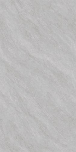 RSP12502-2