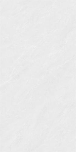 RSP12503-4