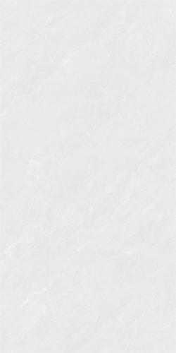 RSP12503-3