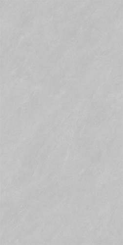 RSP12508-2