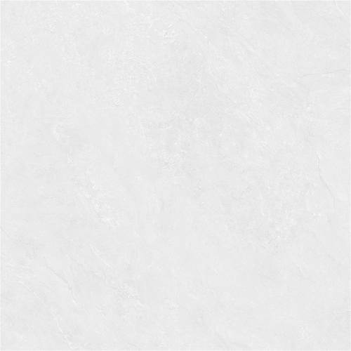 RL88223-2