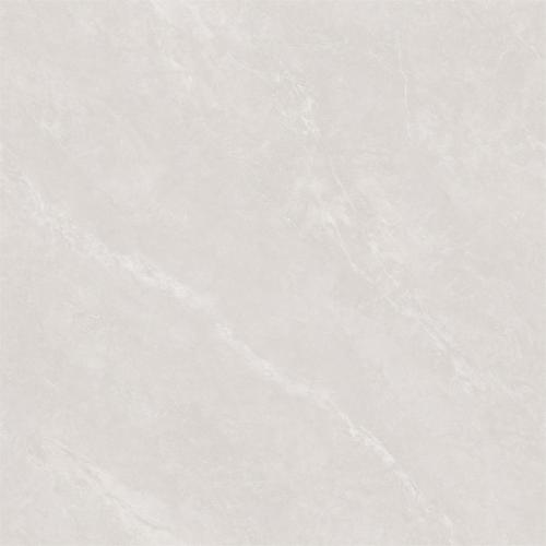 RP88516-2